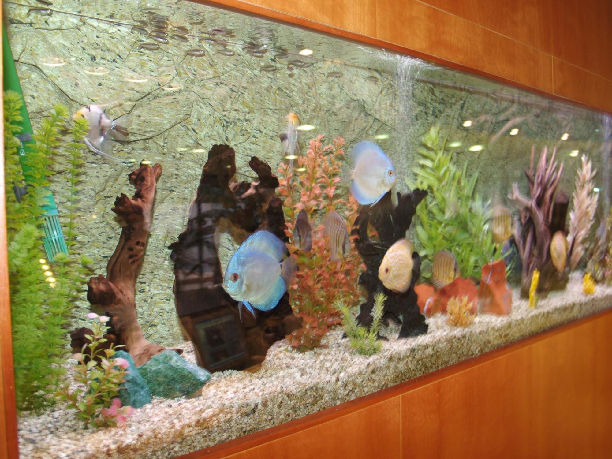 Hotel Montemar Maritim Santa Susanna Luaran gambar